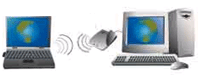 All your Networking Needs